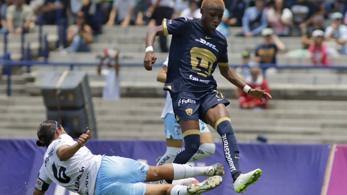 Gallos Femenil